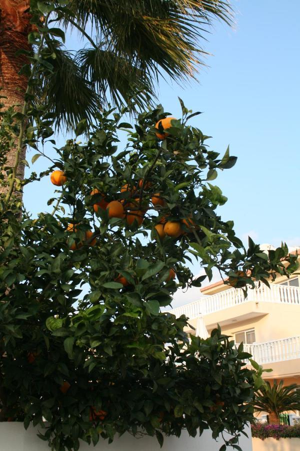 Nissi Villa Ayia Napa Exterior foto
